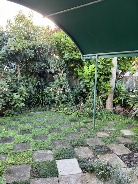 2B Curzon Street, Onehunga, Auckland - Carousel 14