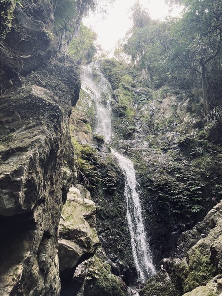 99 Franklin Road, Freemans Bay, Auckland - Carousel 28