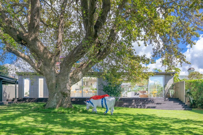 3 Finch Street, Morningside, Auckland - Carousel 2