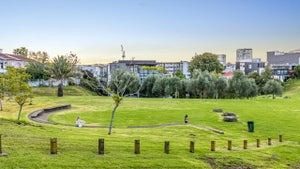 307/15 Rendall Place, Eden Terrace, Auckland - Carousel 17