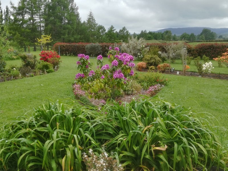 143A Te Kopia Road, Rotorua - Carousel 26