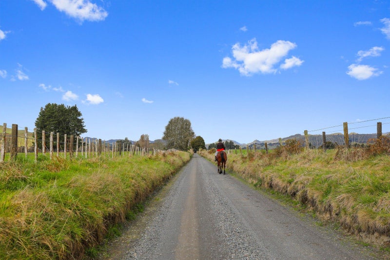 205 Te Rena Road, Kakahi - Carousel 36