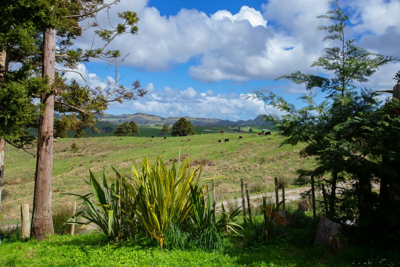 60 Davies Road, Wellsford, Wellsford - Carousel 2