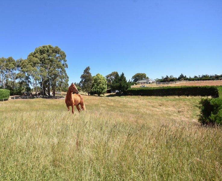 57 Highland Road, Brighton, Dunedin - Carousel 12