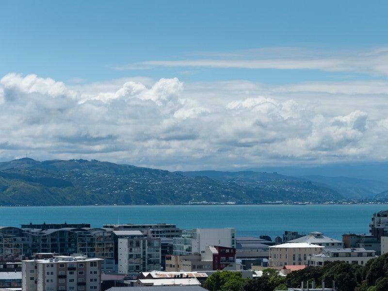 28M Bidwill Street, Mount Cook, Wellington - Carousel 11