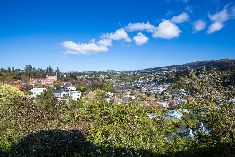 10 Montrose Street, North East Valley, Dunedin - Carousel 25
