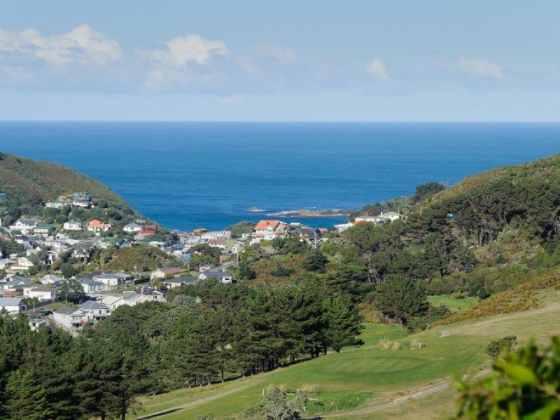 27 Farnham Street, Mornington, Wellington - Carousel 14