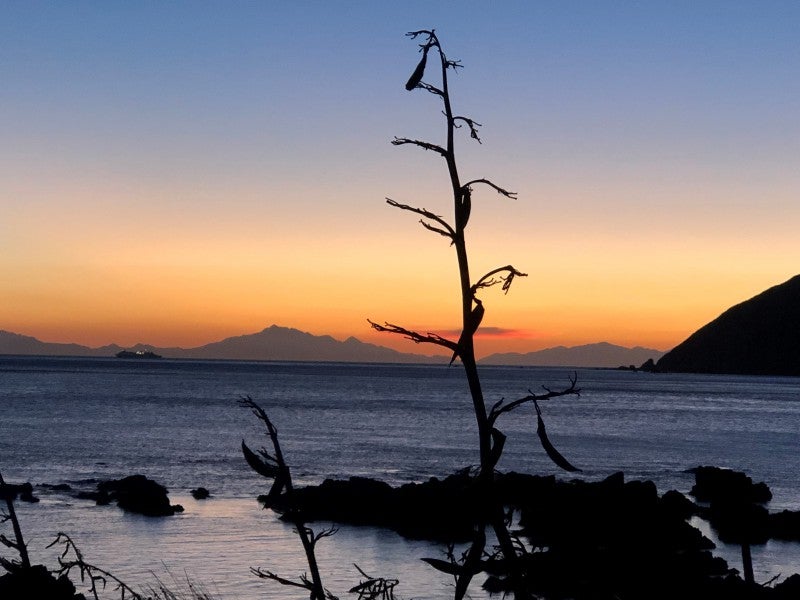 154 Owhiro Bay Parade, Owhiro Bay, Wellington - Carousel 24