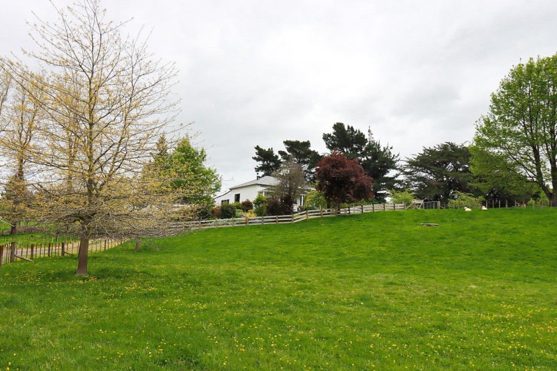 69 Princess Street, Dannevirke, Dannevirke - Carousel 22