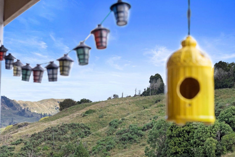 645 State Highway 16, Kumeū - Carousel 29