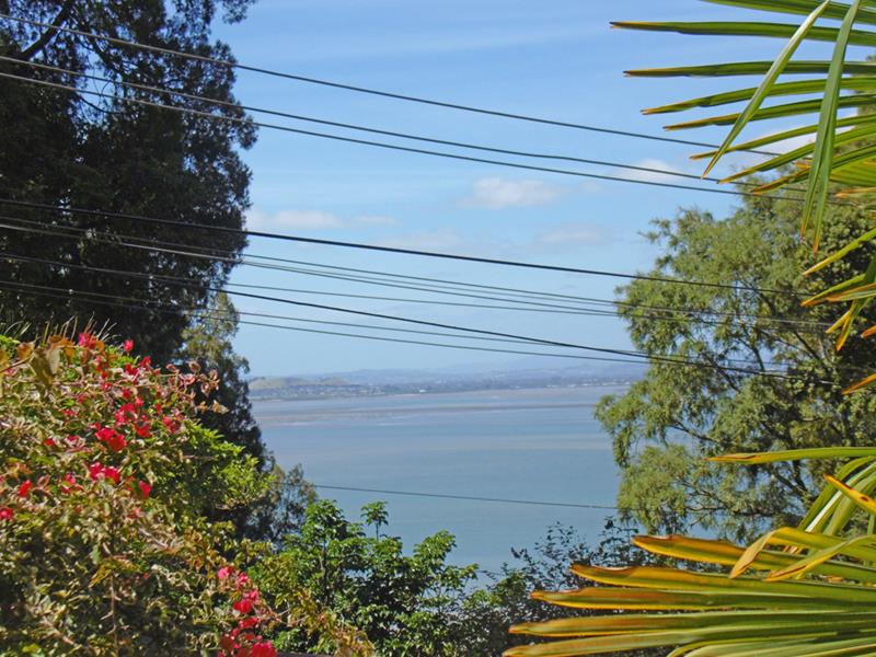 11 Otitori Bay Road, Titirangi, Auckland - Carousel 6