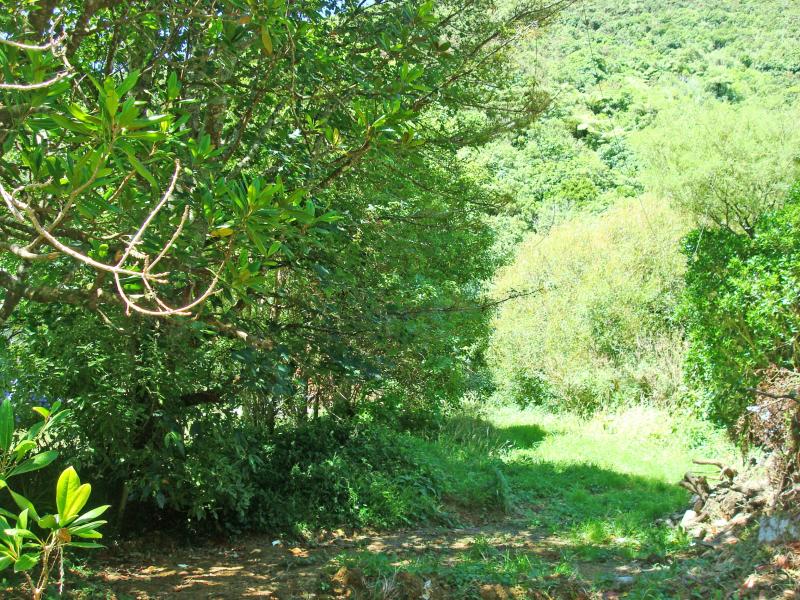 71 Sunny Grove, Wainuiomata, Lower Hutt - Carousel 10