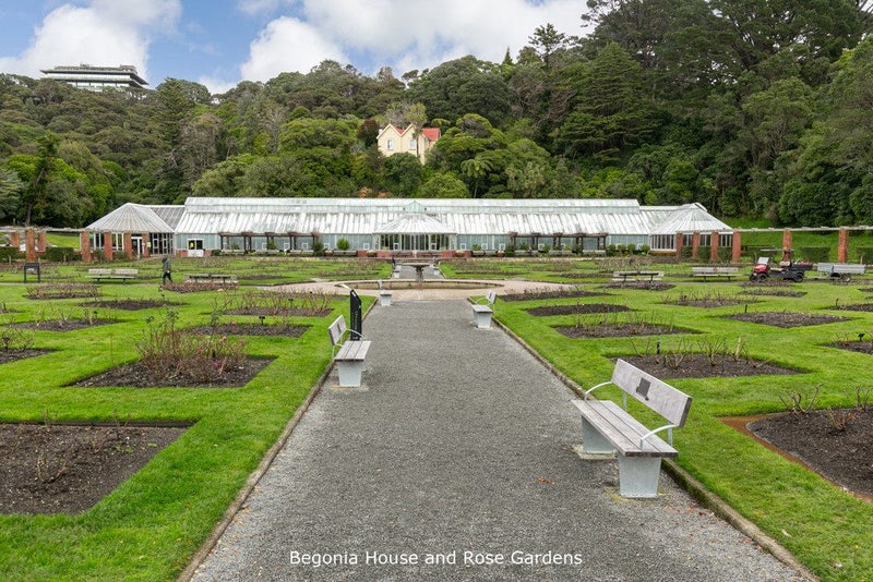 14 Kinross Street, Kelburn, Wellington - Carousel 25