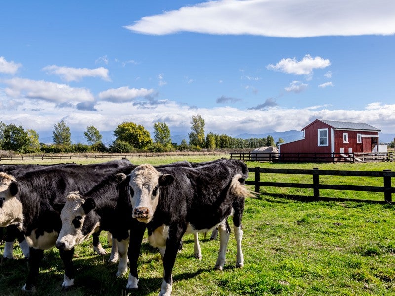 0 State Highway 2, Opaki, Masterton - Carousel 14