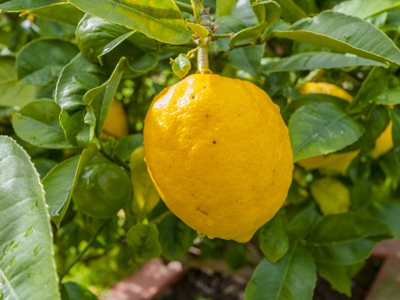 50C Whites Line West, Woburn, Lower Hutt - Carousel 20