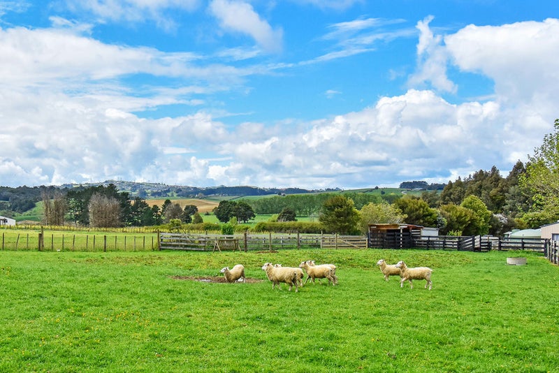 267 Kern Road, Pukekohe - Carousel 2