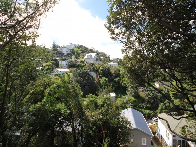 79 Raroa Road, Aro Valley, Wellington - Carousel 1