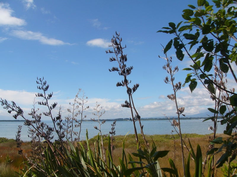 87 Athenree Road, Katikati - Carousel 20
