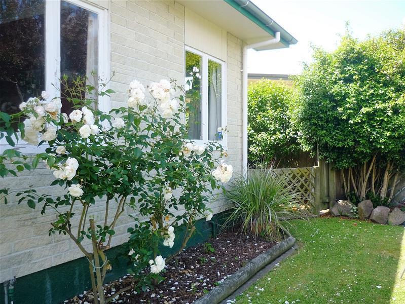 806 Tawa Street, Mahora, Hastings - Carousel 18