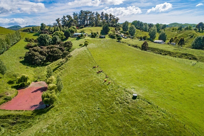 1663 Puketitiri Road, Puketapu - Carousel 23
