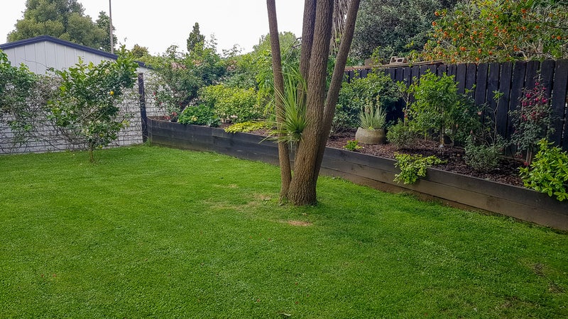 28A Hall Street, Kihikihi, Te Awamutu - Carousel 2