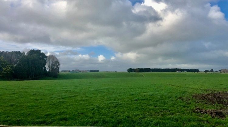 0 State Highway 3, Awahuri, Palmerston North - Carousel 15