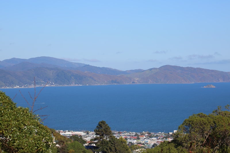 18 Cypress Drive, Maungaraki, Lower Hutt - Carousel 20