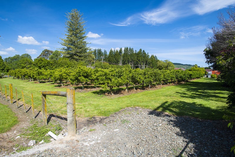 42 Whitmore Road, Ormond, Gisborne - Carousel 21