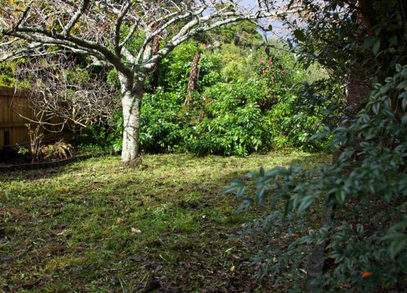 80C Bollard Avenue, New Windsor, Auckland - Carousel 15