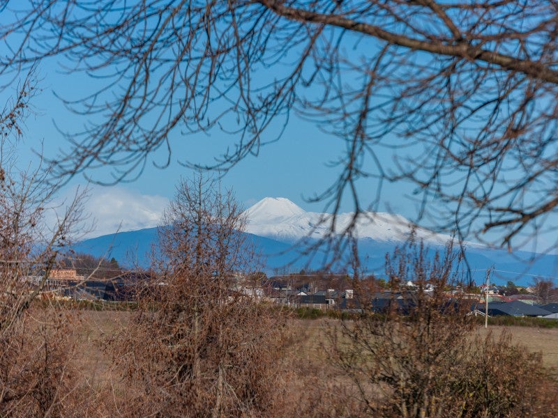 43 Grace Crescent, Richmond Heights, Taupo - Carousel 2