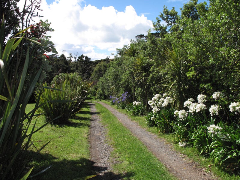 448 Wainui Road, Raglan, Raglan - Carousel 22