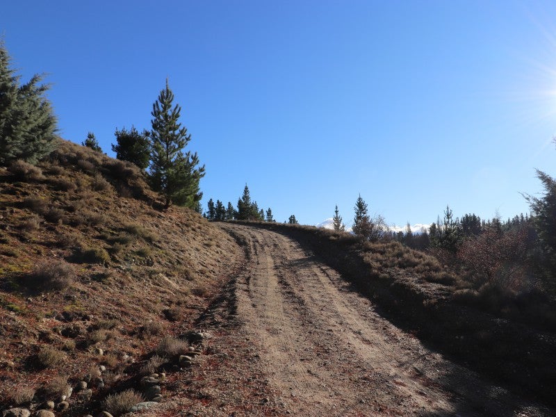 67 Letts Gully Road, Letts Gully, Alexandra - Carousel 10