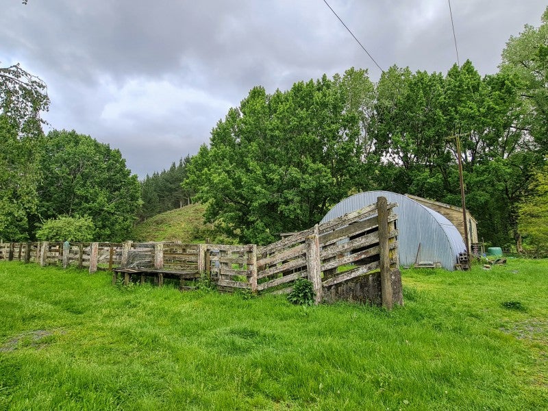 4044 State Highway 4, Ongarue - Carousel 13