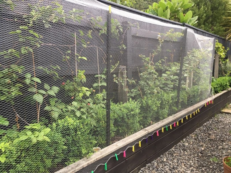 6 Miro Street, Eastbourne, Lower Hutt - Carousel 14