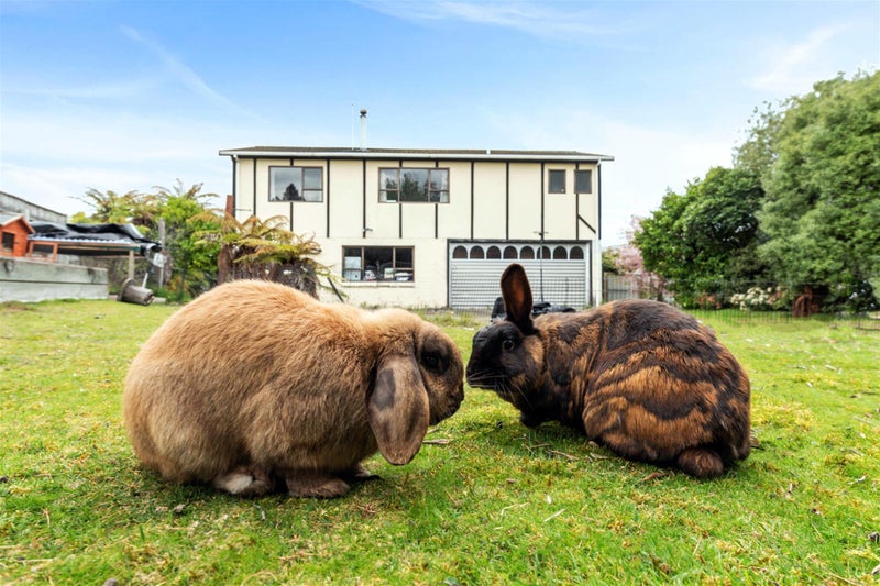 14 Ingle Avenue, Waipahihi, Taupo - Carousel 2