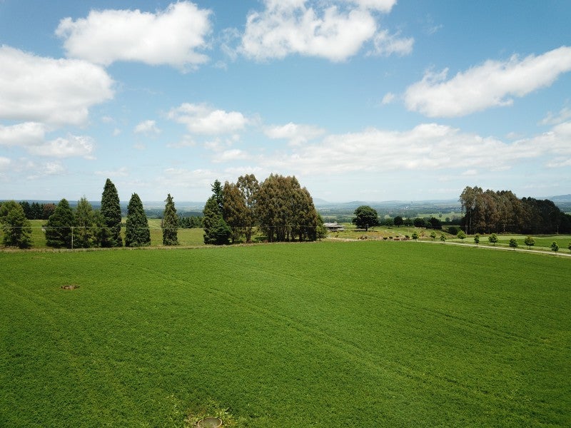 271 Rawhiti Road, Reporoa - Carousel 22