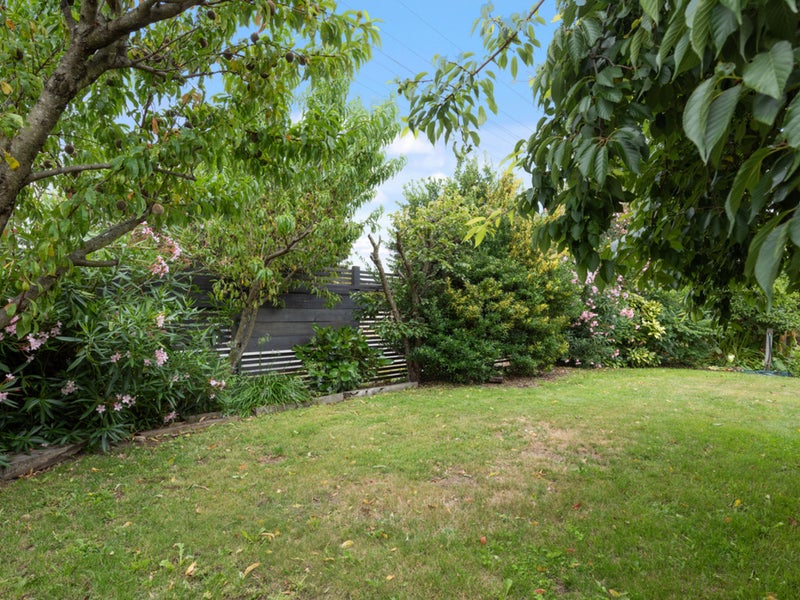 16 Litchfield Street, Redwoodtown, Blenheim - Carousel 32