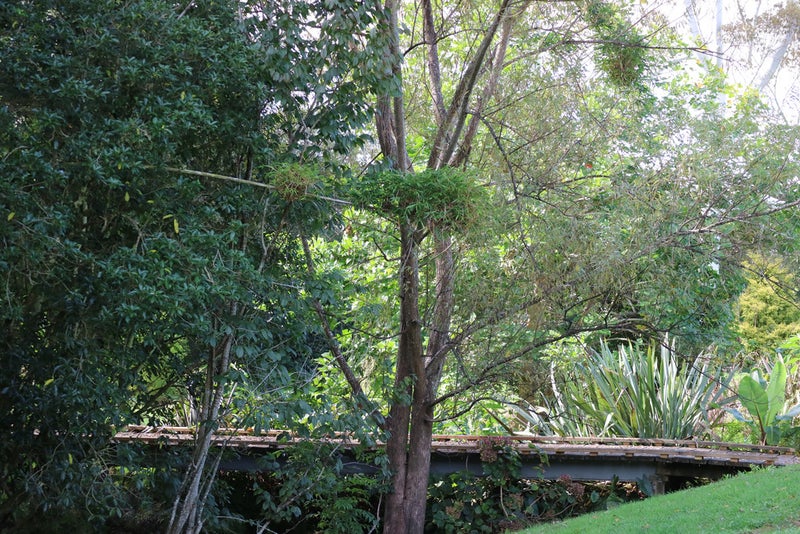 36 Ness Road, Kerikeri - Carousel 26