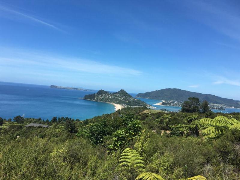 149 Pumpkin Hill Road, Pumpkin Hill - Carousel 1