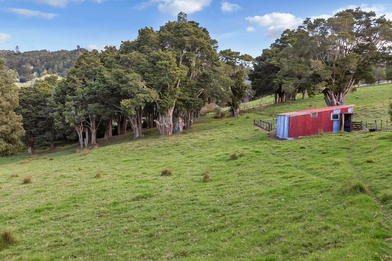 903 Springfield Road, Whangarei - Carousel 26