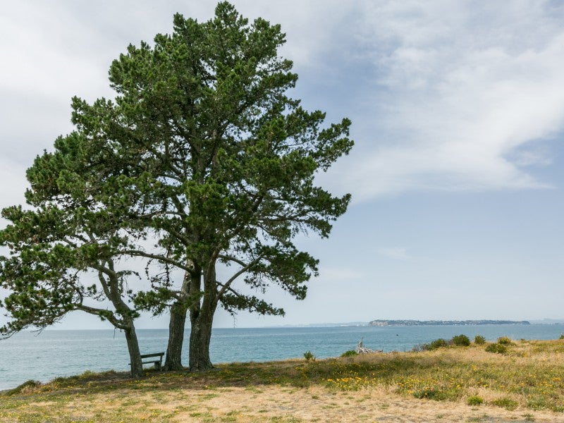 70 Le Quesne Road, Bay View, Napier - Carousel 26