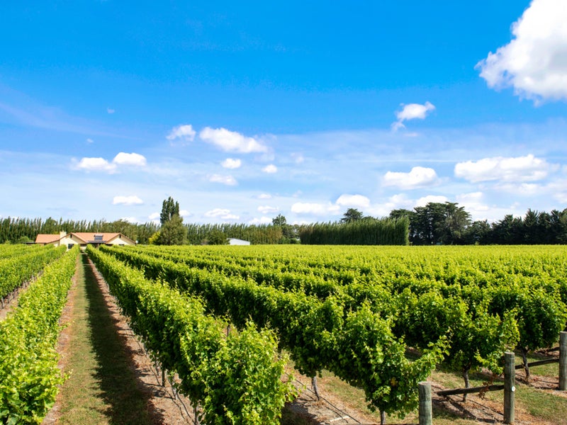 91 Hillocks Road, Spring Creek, Spring Creek - Carousel 2