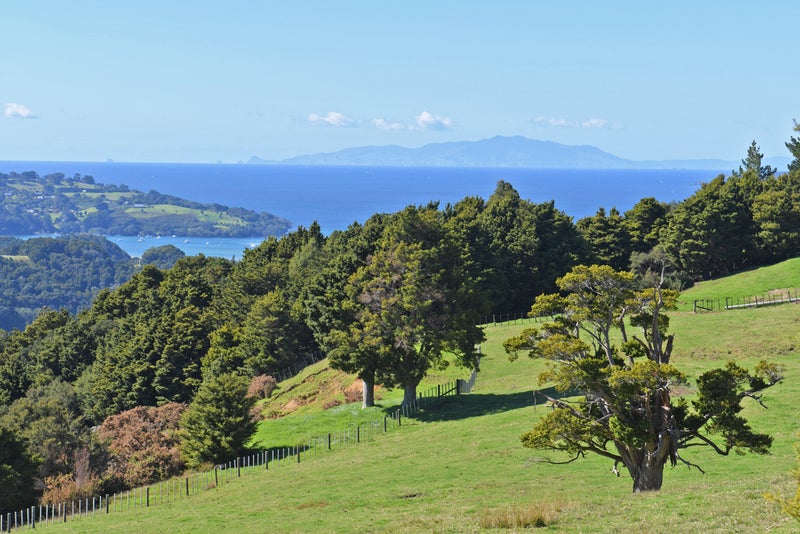 128 Schollum Road, Big Omaha, Warkworth - Carousel 2