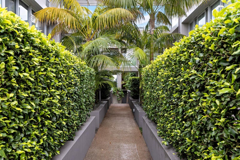 1B/0 Gladstone Road, Parnell, Auckland - Carousel 3