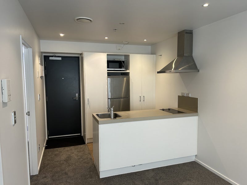 317/74 Taranaki Street, Te Aro, Wellington - Carousel 1