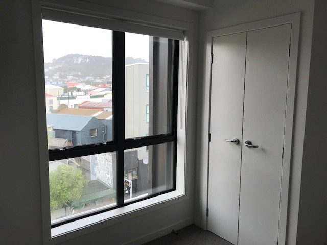 401/2 Colombo Street, Newtown, Wellington - Carousel 5