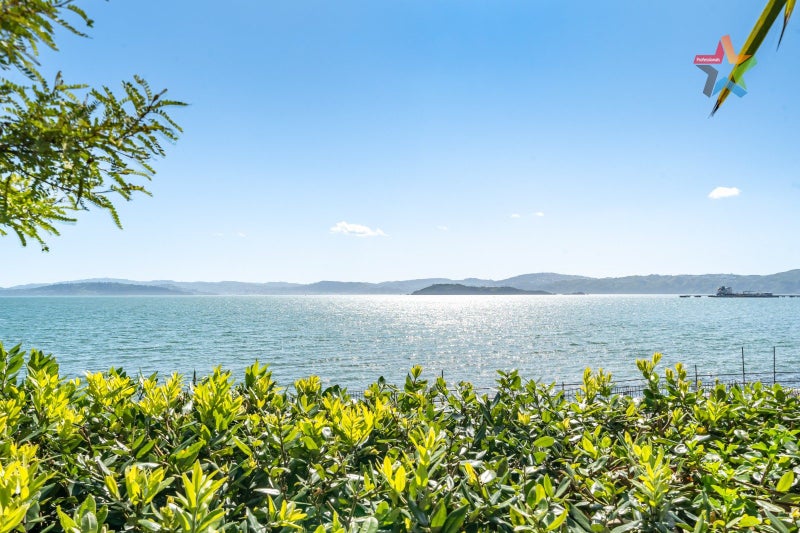 A/307 Marine Drive, York Bay, Lower Hutt - Carousel 2