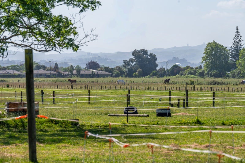13 The Loop, Meeanee, Napier - Carousel 20