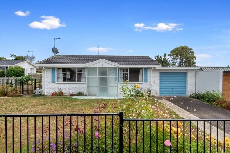 6 Leonard Place, Dinsdale, Hamilton - Carousel 2