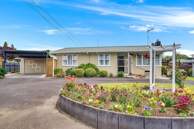 25 Patrick Place, Fitzroy, Hamilton - Carousel 1